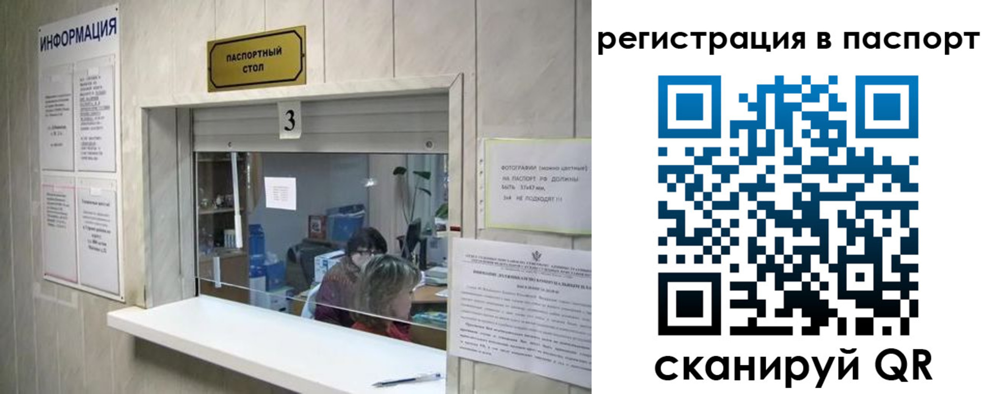 прописка поиск в Димитровграде