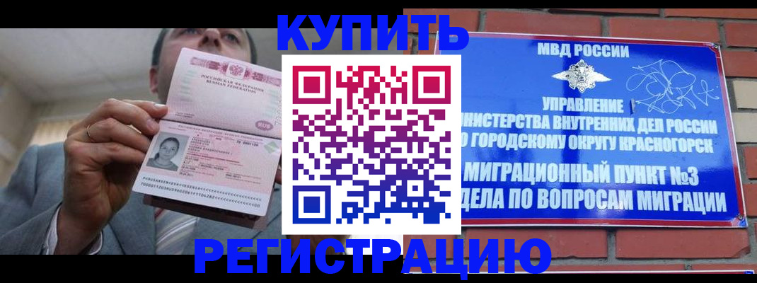 прописка в Димитровграде